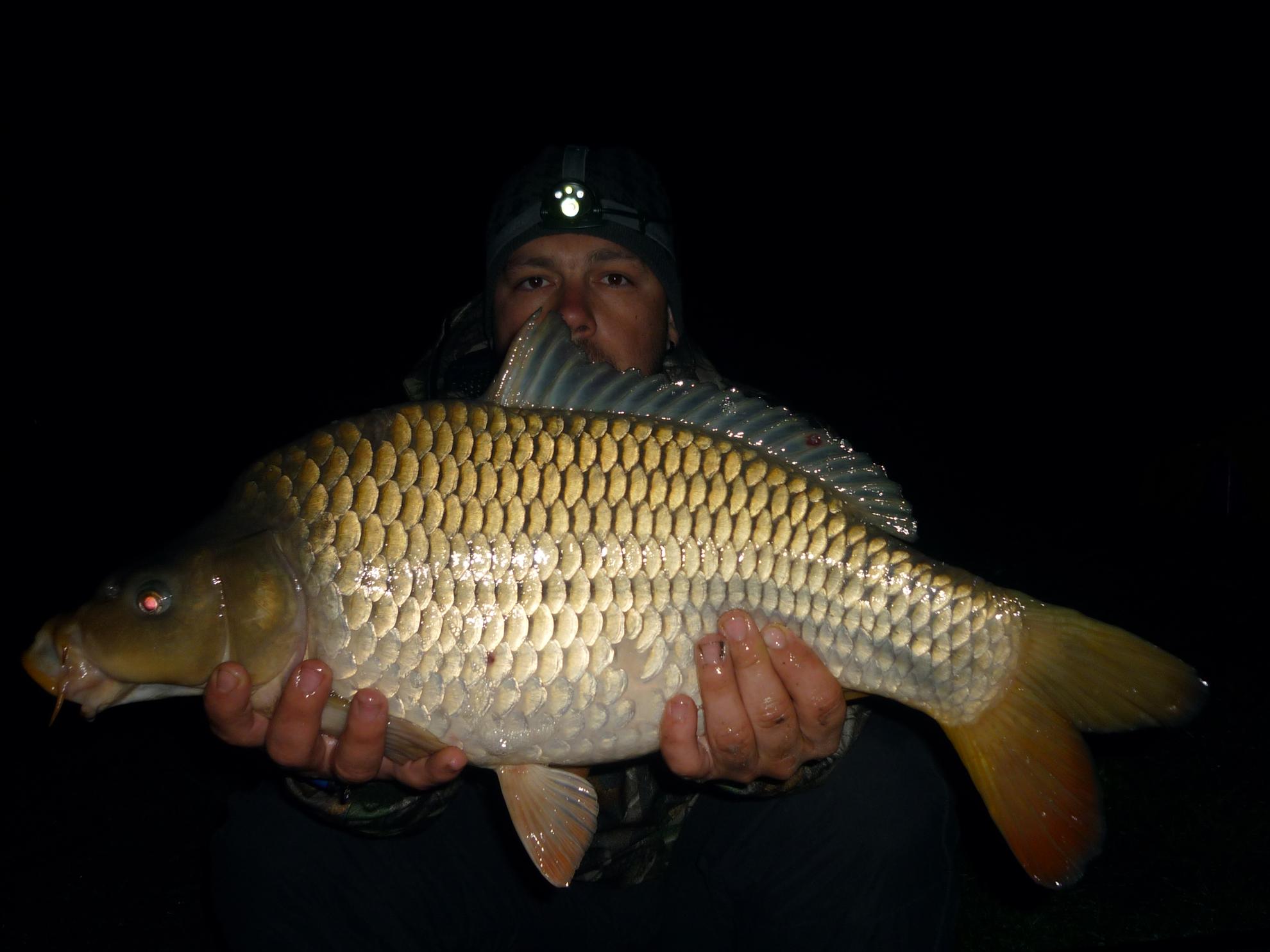 Stejeris 2011 - p1010966.JPG